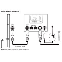 Sistema de Audio Bose L1 Pro 16