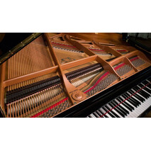 Piano de Cola Weber Premium 150 centimetros, 3 image