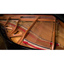 Piano de Cola Weber Premium 150 centimetros, 9 image