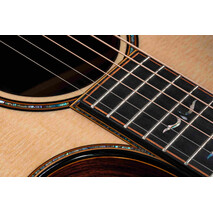 Guitarra Taylor Pro Premium 914ce, 5 image