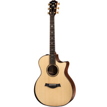 Guitarra Taylor Pro Premium 914ce