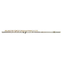 FL-6248N Flauta Transversal Nickel Princess