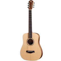 Guitarra Acustica Taylor Bt1