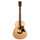 Guitarra Taylor Acustica GS-Mini Sapele Sitka, Madera: Sapele/Sitka