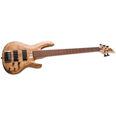 Bajo LTD B205SM FRETLESS