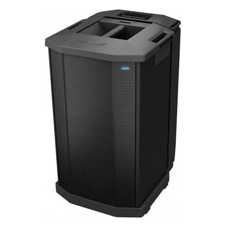 Bafle Subwoofer Amplificado Bose F1