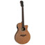 Guitarra Electro-acustica Aria Mahogany FET-M1 N, Version: M1